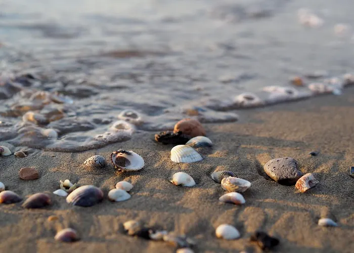 With Garden Near The Villa